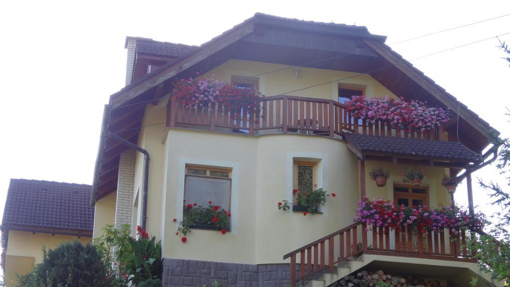 Apartman U Sarky Valaska ภายนอก รูปภาพ